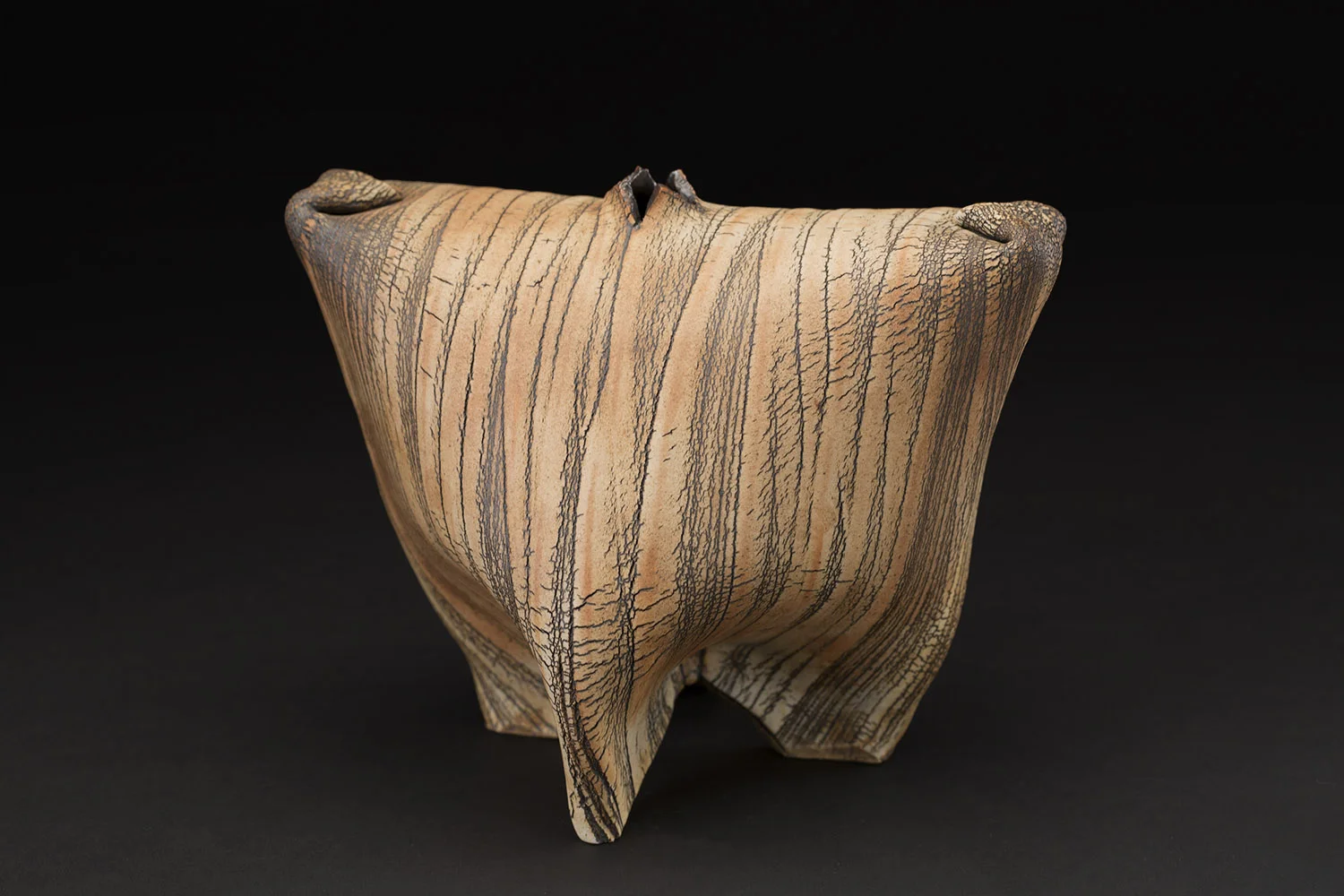 AKIRA SATAKE — CAVIN-MORRIS GALLERY